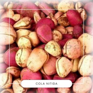 Cola nitida seeds